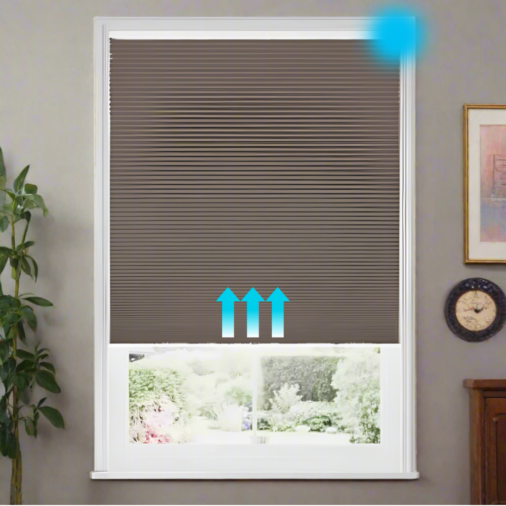 Cole  Blackout Waterproof Motorized Cellular Shades