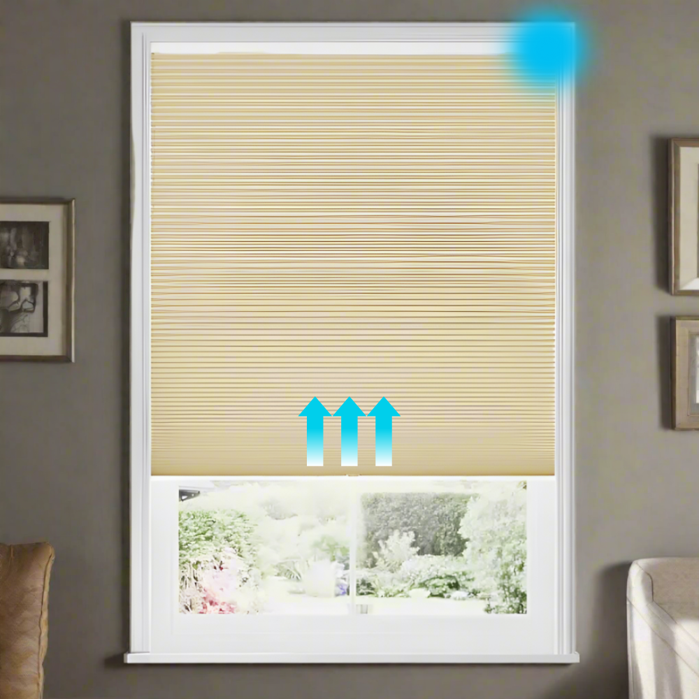 Cole  Blackout Waterproof Motorized Cellular Shades