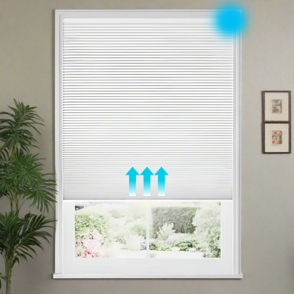 Eira  Blackout Motorized Cellular Shades