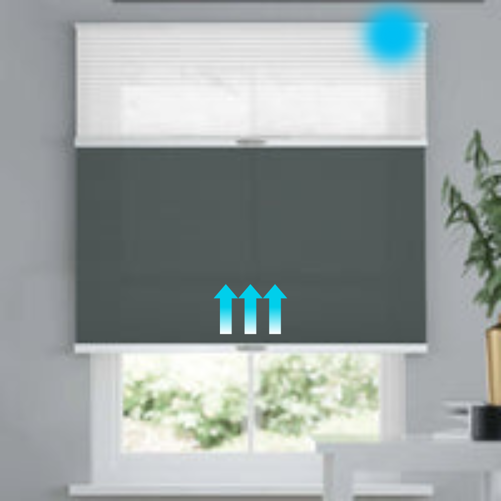 Arcadia Day Night Motorized Cellular Shades 0.98''